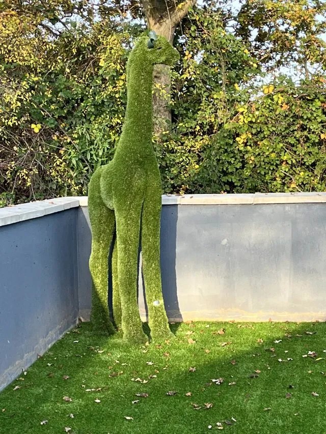 Easigrass Northern Ireland