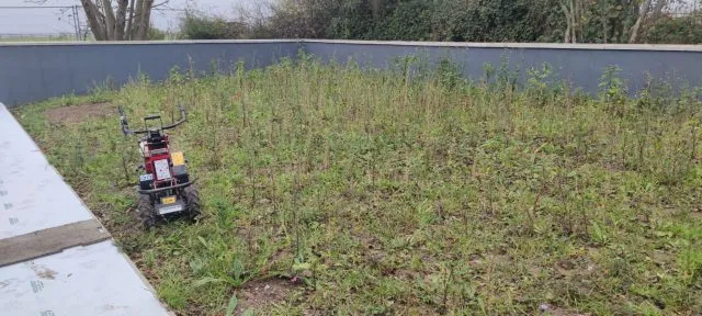 Easigrass Northern Ireland