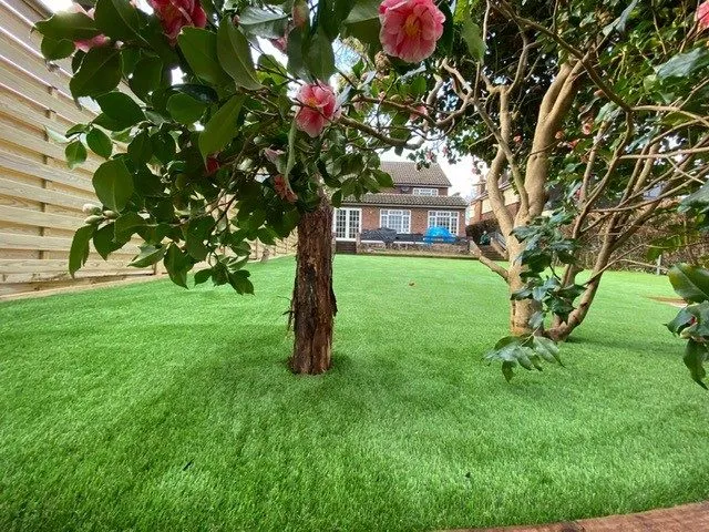 Easigrass Northern Ireland